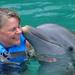 Riviera Maya Small-Group Wildlife Adventure: Manatees and Dolphins 