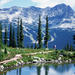 Whistler Mountains and Adventures Tour Including Admission to Scandinave Spa