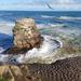 Day Trip to Auckland's Wild and Beautiful Beaches