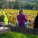 Full-Day Private Guided Tours of Napa Valley and Sonoma Wine Country
