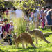 Nashville Zoo Admission Pass