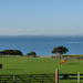 Penguin Parade with Moonlit Sanctuary and Churchill Island From Melbourne