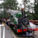 Puffing Billy Train With Optional Penguin Parade or Melbourne City Tour