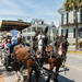 Carriage Tour of Historic Charleston