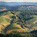 All Day Northern Oregon Wineries  and  Forest Bike Tour