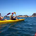 Port Douglas Half-Day Kayak Tour