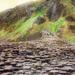 Authentic Guided Walk of the Giant's Causeway with an Expert Guide
