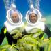 Belize Sea Trek Underwater Tour from Ambergris Caye