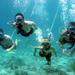 Belize Snuba Adventure Tour from Ambergris Caye