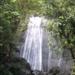 El Yunque Rainforest Half-Day Trip from San Juan