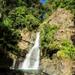 El Yunque Rainforest Hiking from San Juan