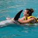 Cozumel Dolphin Swim and Ride Program