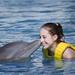 Cozumel Dolphin Trainer for a Day Program