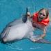 Dolphin Swim and Ride Program in Cancun