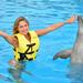 Riviera Maya Triple Adventure Dolphin Program 