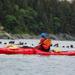 Juneau Shore Excursion: Tongass Wildlife Kayaking Adventure