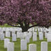 Arlington National Cemetery Hop-On Hop-Off Tour