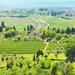 Chianti Semi-Private Cooking Class at a Tuscan Villa