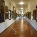 Private Tour: Skip-the-Line Florence Uffizi Gallery and Vasari Corridor Tour