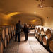 Small-Group Supertuscans Wine Tour