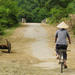 Quang Dien Village Bike Tour Including Sampan Cruise