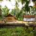 Small-Group Kerala Backwaters Tour from Kochi Including Ayurvedic Massage 