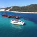 Moreton Bay Marine Park Dolphin Cruise Including Lunch