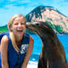 Swim with Sea Lions or Sharks at Sea Life Park Hawaii 