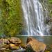 East Maui Waterfalls and Rainforest Hike