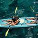 Snorkel, Kayak and Dolphin Experience in the Big Island’s Kealakekua Bay