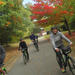 Fall Foliage Bike Ride in Boston