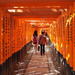 Fushimi Inari and Sake Brewery Tour