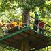 Adrena-Line Zipline Canopy Tour at Rainforest Adventures 