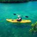 Mangrove Lagoon Kayak Rental in St Thomas