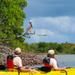 St Thomas Kayak Tour: Sunset Birding at Mangrove Lagoon 