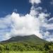 Nevis Full-Day Island Tour from St Kitts