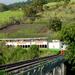 St Kitts Scenic Railway Tour
