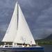 The Narrows Sail and Snorkel Tour from Nevis