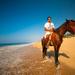 Ixtapa Shore Excursion: Horseback Riding on Zihuatanejo Bay