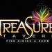 Treasure Tavern Show in Orlando