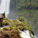 Full-Day Sightseeing Tour of the Argentinian and Brazilian Sides of Iguassu Falls from Puerto Iguazú