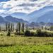 Salta Super Saver: Best of Calchaquí Valley Including Cachi and Cafayate Winery Day Trips