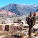 Salta Super Saver: Calchaqui Valley and Cafayate Winery plus Humahuaca Valley Day Trip