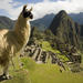 Machu Picchu Private Guided Tour from Aguas Calientes