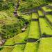 Sacred Valley Overnight Tour from Cusco