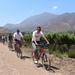 Santa Rita Winery Bike and Wine Tour