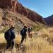 6-Day Larapinta Trail Walking Tour from Alice Springs
