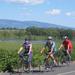 Wine Country Adventure: Bike and Kayak Wine Tour