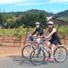 Wine Country Sip 'n' Cycle Bike Tour 