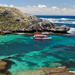 Rottnest Island Snorkeling Cruise with Optional Guided Walking Tour and Lunch